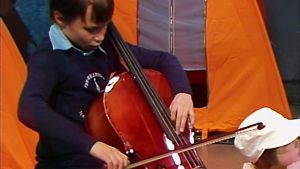 Viuluviikarit musiikkimaassa