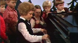 Viuluviikarit musiikkimaassa