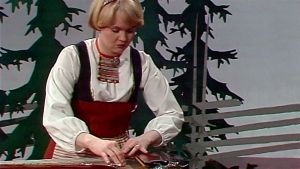 Viuluviikarit musiikkimaassa