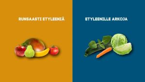 Kasvisten säilytys