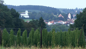 Omkring en tredjedel av världens humle odlas i Hallertau. Landskapsbild över den bayerska byn Hallertau, i förgrunden humleodlingar.