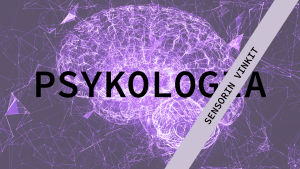 Sirpa Vahtera työskentelee opinto-ohjaajana Helsingin suomalaisessa yhteiskoulussa. Sensorin vinkit psykologian yo-kokeeeseen.
