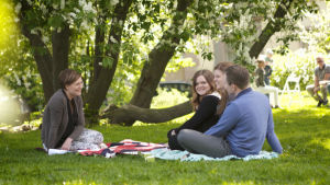 Picknickprat med Johannes, Eva och Maria Snellman. Maria Sundblom Lindberg pratar med Johannes, Eva och Maria Snellman i en park.