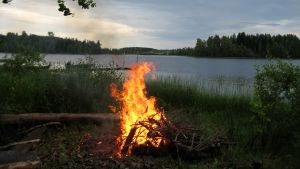 Midsommarbrasa Juhannus, juhannusilta. Juhannuskokko järven rannalla (kokko, tuli). Suodenniemi.