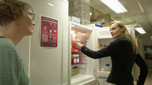 Toxikolog Hanna Karlsson (till höger) forskar i hur lungorna påverkas av nanopartiklar. Hanna Karlsson är toxikololg och forskar i hur lungorna påverkas av nanopartiklar.