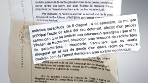 Ett dokument från rätten i Andorra beskriver den cancervård som Janitskin har fått. ilja janitskin