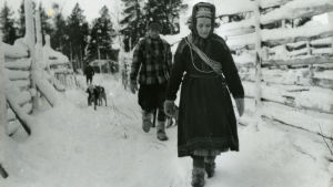 Poroerotuspaikalla Sevettijärvellä. Poroerotukset Sevettijärvellä.