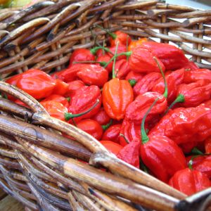 Habaneros Matmarknad i Ingå