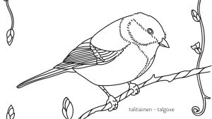 Talitiainen värityskuvassa.