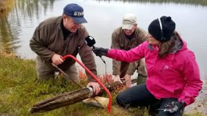 Metsäteknikko Hannu Herva sahaa näytettä hakopuusta, apuna Jari Hietanen Pirjo Koskinen haastattelee Hannu Hervaa, taustalla Jari Hietanen