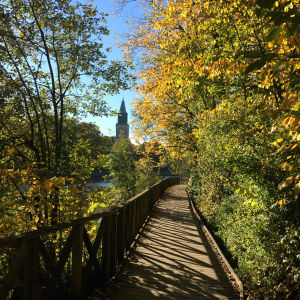 Höstbild med vy mot Åbo domkyrka.