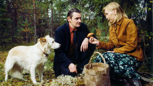 Markku Peltola ja Kati Outinen: Mies vailla menneisyyttä Hannibal (Tähti-koira), M (Markku Peltola) ja Irma (Kati Outinen) elokuvassa Mies vailla menneisyyttä