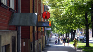 Trähusidyll i Telliskivi. Vy från stadsdelen Telliskivi i Tallinn, trähus och lummiga träd.