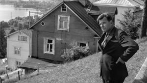 Viita ja Pispalan maisemat Kirjailija Lauri Viita Pispalassa v. 1965, katselee maisemia harjulta.