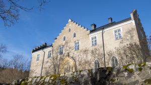 Svidja slott, baksidan av slottet.