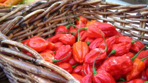 Habaneros Matmarknad i Ingå
