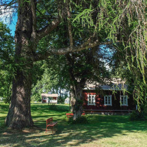 Imponerande buskar, granar, ädelgranar, lindar och almar har sin andel i stationens historia. Stationsparken var ofta den första allmänna parken på en liten ort. Vehreä puisto, suuri pihta, jonka alla kaksi punaista puistonpenkkiä, taustalla vanha punavalkoinen puutalo