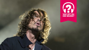 Chris Cornell. Chris Cornell.