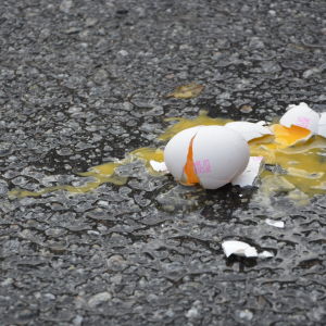 Ägg på marken.