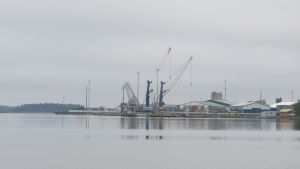 Vasa hamn, en del av Kvarken Port Ltd, är en av bara två hamnar som fusionerats i Finland. Lyftkranar i Vasa hamn.