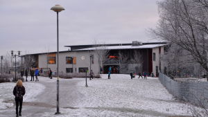 Albert Edelfeltin koulu får snart sällskap av ytterligare en skola, möjligtvis också ett daghem. albert edelfelt skola