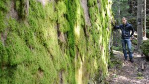 En av väggarna till Brannis grotta är vackert mossbelupen på utsidan. esa huttunen på väg mot brannis grotta i strömfors 11.07.2016