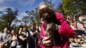 Hundparaden Puppy Parade i Brunnsparken i Helsingfors den 28 maj 2017.