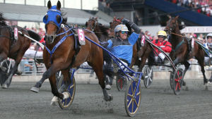 Björn Goop och Timoko tog hem Elitloppet i år. Björn Goop, Elitloppet.