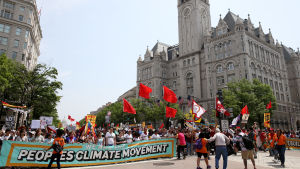 Organisera dig. Demonstrera. Demonstration utanför Trump International Hotel i Washington i april 2017.