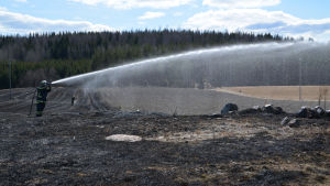 Efter att ha skyddat byggnaderna var det dags att släcka elden på åkern. brandman sprutar vatten på åker som brunnit