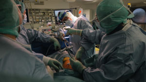 Under operationen fästs en 5mm grov vajer i patientens rygg som tvingar ryggen att växa rakt. många skyddsklädda personer runt ett operationsbord sysselsatta med operation