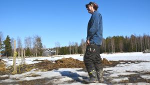 Här ska Håkan Backs kor springa när sommaren kommer. Håkan Back, mjölkproducent i Rimal i Korsholm.