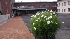Hälsovården i Sibbo är enligt Myllyvirta betydligt mer utspridd på olika enheter än till exempel byggnadstillsynen. Arkivbild från Nickby hälsovårdscentral. Huvudingången vid Nickby hvc