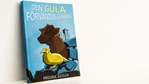 Pärmbilden till boken är gjord av Fredrik Geisors son Simon. Pärmen på Fredrik Geisors bok Den gula förvandlingsmaskinen