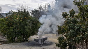 En vrakdel från ett israeliskt stridplan som sköts ner av det syriska luftvärnet i februari. Jaktplanet störtade i en apelsinfarm i norra Israel. Det israeliska jaktplanet störtade i en apelsinfarm i norra Israel