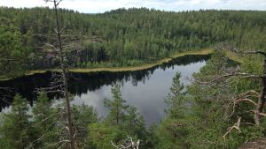 Repoveden kansallispuiston maisemaa