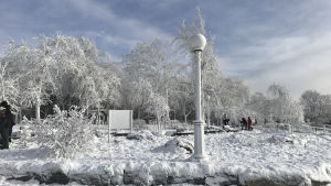 Frost i Niagara Falls den 2 januari 2018 Frost i Niagara Falls i delstaten New York den 2 januari 2018