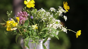 Bukett Blombukett, sommarblommor
