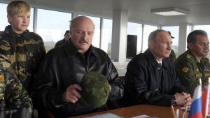 Vitrysslands och Rysslands presidenter Lukasjenko och Putin följde Zapad-övningen i sällskap av Lukasjenkos son och Rysslans försvarsminister Sjoigu Nikolaj Lukasjenko (son till Vitrysslands president), Vitrysslands president Aleksandr Lukasjenko, Rysslands president Vladimir Putin och försvarsminister Sergej Sjojgu under Zapad-övningen i september 2013.