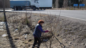 Under tre veckors tid promenerade Kämäräinen längs vägarna i Lappträsk och plockade cigarettaskar, skinkpaket och engångsmuggar. bild på en kvinna som plockar skräp