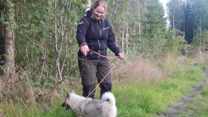 Sarah Ek jagar i ett stort jaktlag, hundarna är en självklar del av jaktlaget. Sarah ek med hunden Freya