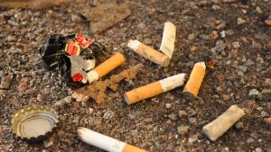 Cigarrettfimpar multnar ytterst långsamt. Äldre tycker inte om att ungdomar kastar skräp på marken.