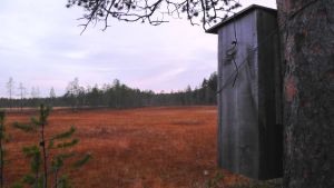 Tämä pönttö jää odottamaan ensi kevään uiveloita Uivelon pönttö Pyhätunturilla