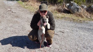 Sarah och hennes sambo har fem jakthundar. På bilden jakthunden Zack. Sarah Ek, jägare med hunde Zack