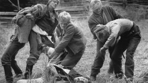Veljekset nujuaa aleksis kivi, seitsemän veljestä, jouko turkka, tv-sarja, pojat nujuaa pellolla, 1989,