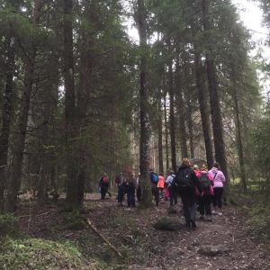 Studiebesök på I Ur och skur-daghem. 25 pedagoger från Finland bekantade sig med I Ur och Skur-dagis.