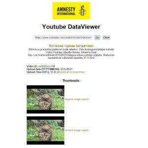 Kuningaskuluttaja selvitti, voiko kissavideolla tienata Youtubessa. Video on ladattu palveluun syyskuussa 2015. Youtube DataViewer