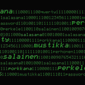 Salasanoja tietokoneen ruudulla.