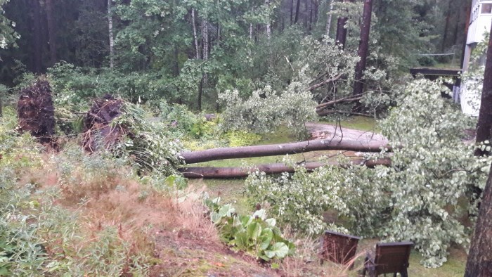 Aboland Svenska Yle Fi Meteorologina @ylesaa @yleuutiset @yletv1 esikoisteos suomen luonto 2100 julkaistaan 2.3. aboland svenska yle fi