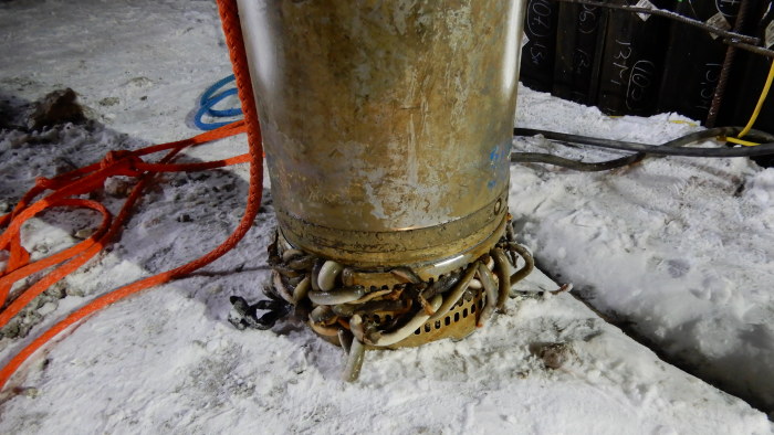 Ett tiotal nejon&ouml;gon har sugits in i en pump.